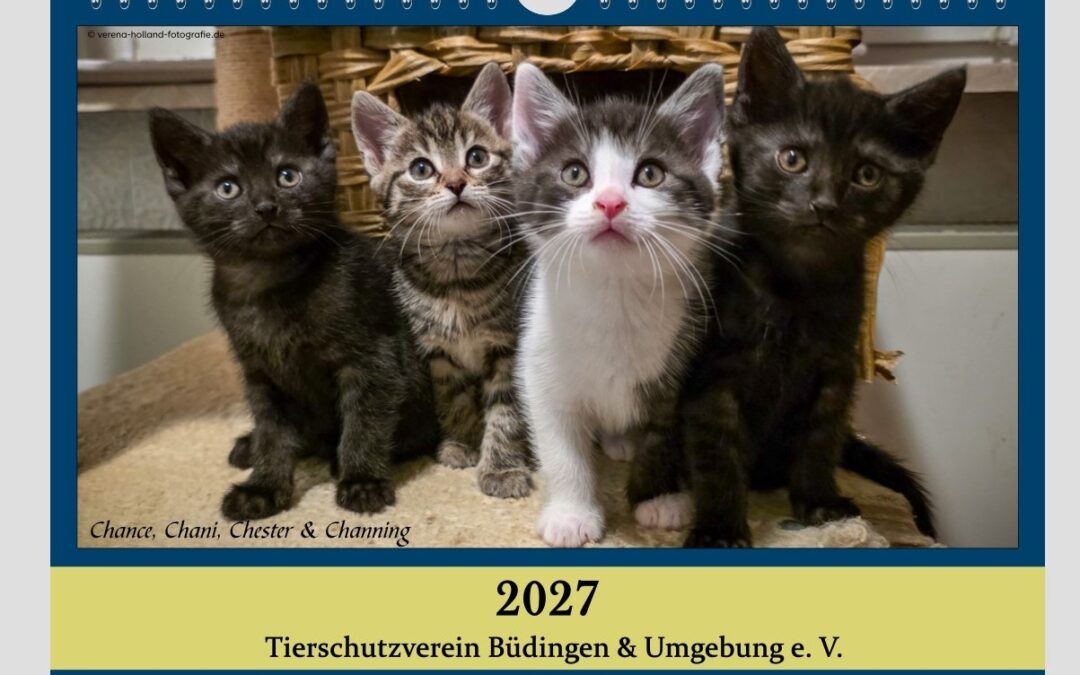 Der Kalender für 2027 ist da !!