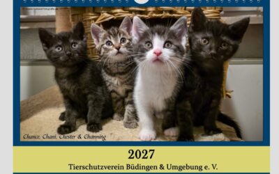 Der Kalender für 2027 ist da !!